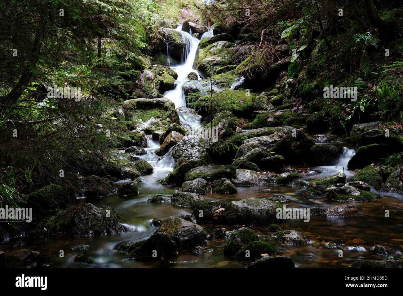 Torrent, Böhmerwald, Plzensky kraj, Tschechische Republik Stockfoto