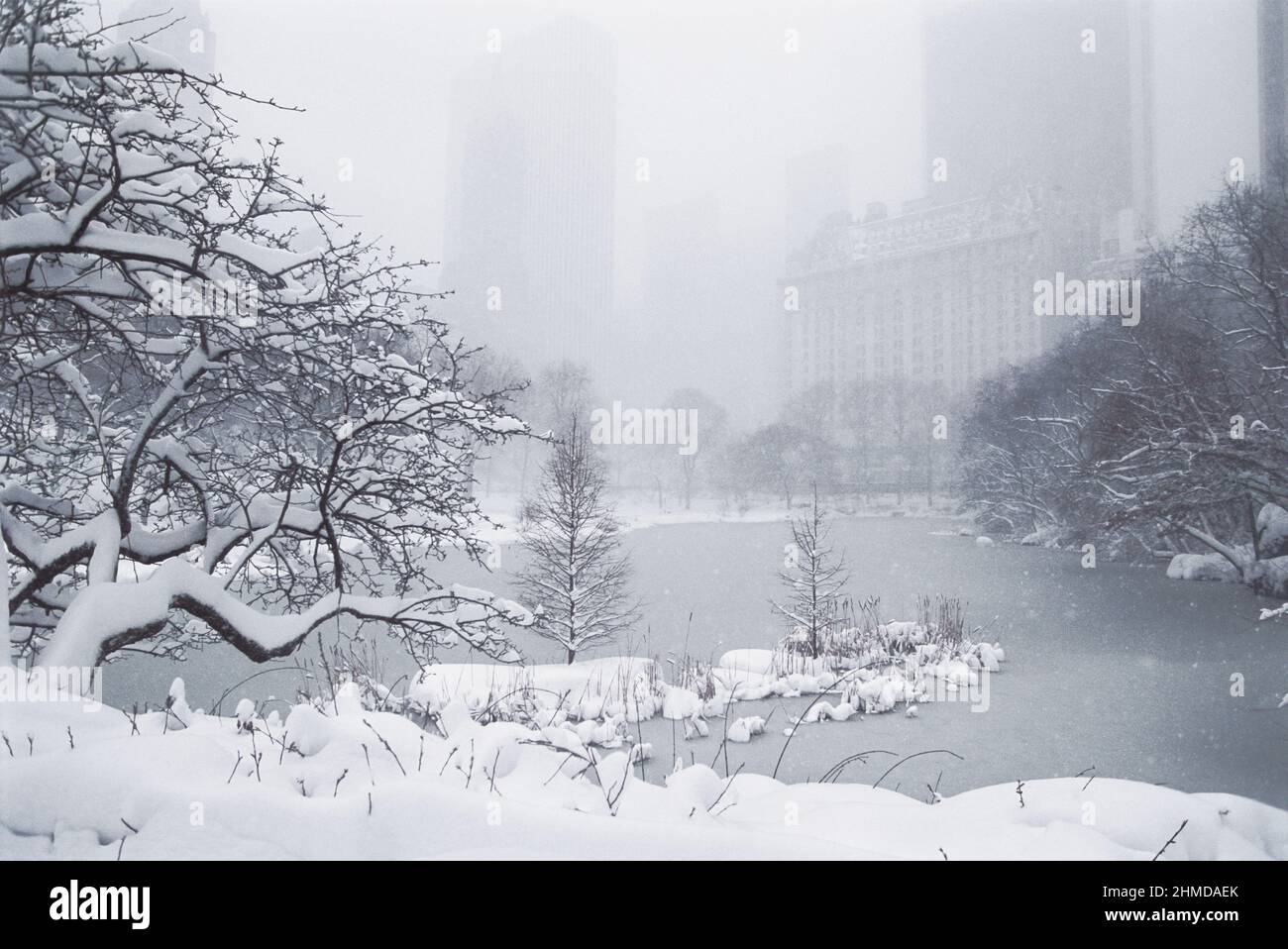 Schnee im Central Park, New York City. Starker Winterschnee bedeckt den Lake in Midtown Manhattan. Nebel bedeckt das Plaza Hotel und die Fifth Avenue. USA Stockfoto