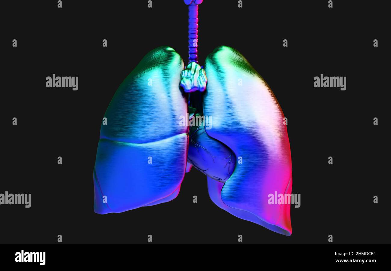 3D Illustration das menschliche Lungeneisen und das Atemsystem. NCoV in den Welten Illustrationskonzept. Stockfoto