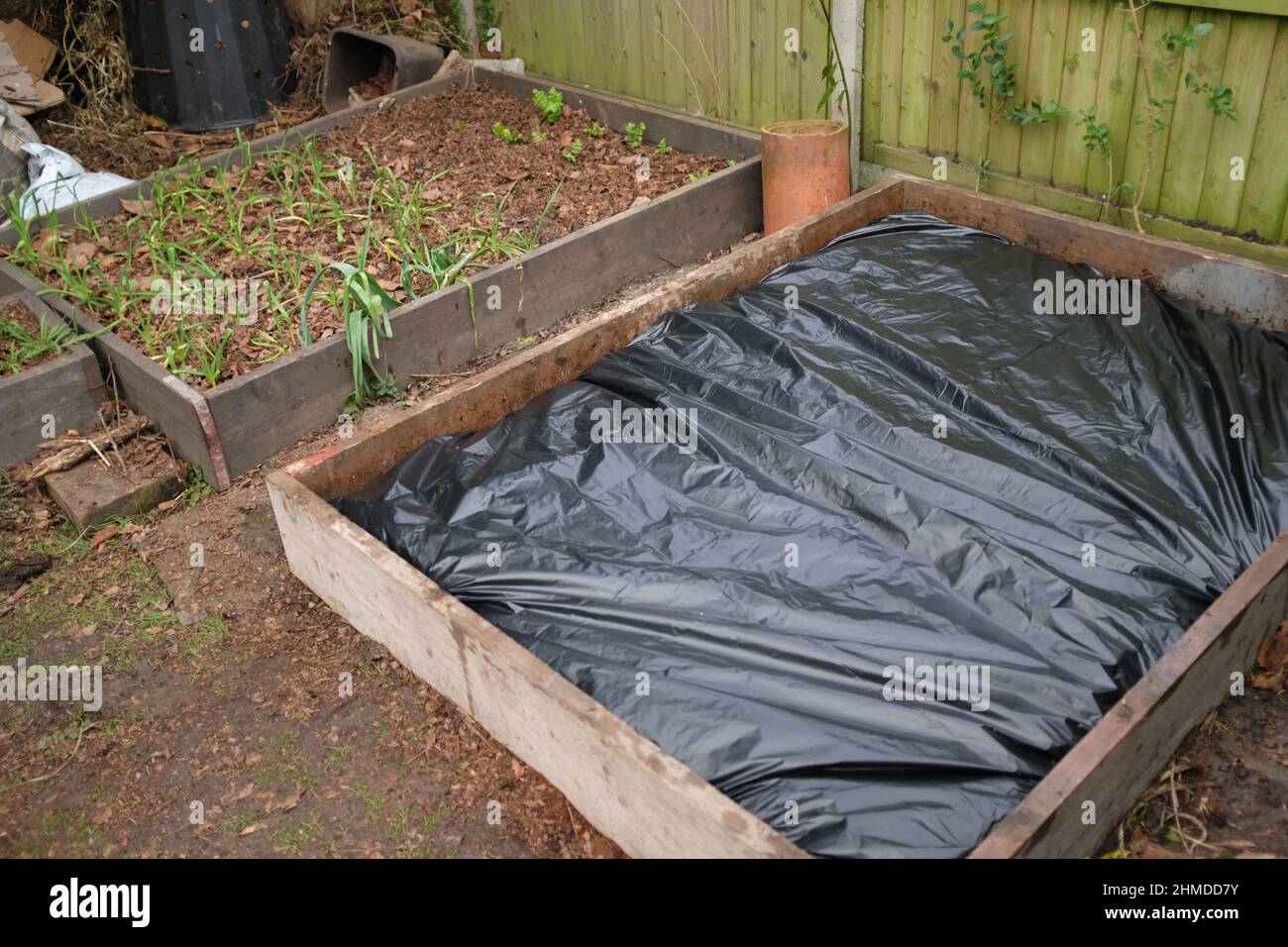 Ein Hochbett in einem Garten, der mit Plastikfolie bedeckt ist Stockfoto