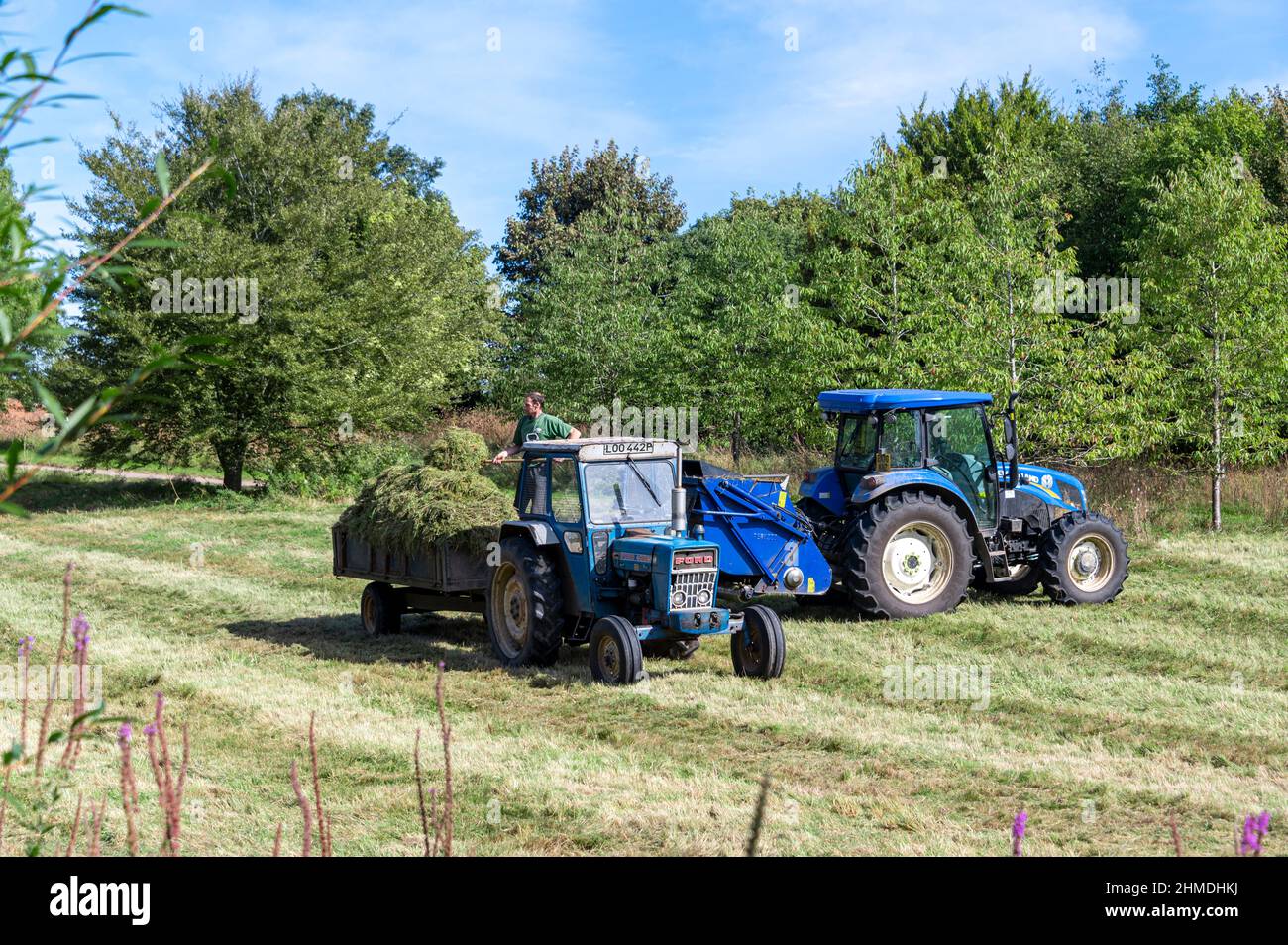 Gras schneiden, mit dem Mann Gras auf einen Anhänger laden, Maschinen hinter sich schneiden. Stockfoto