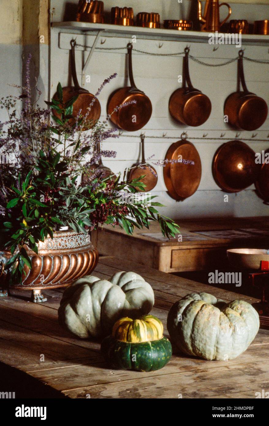 Le Lude, Schloß, Küche, Kupfertöpfe Und Kürbis Stockfoto
