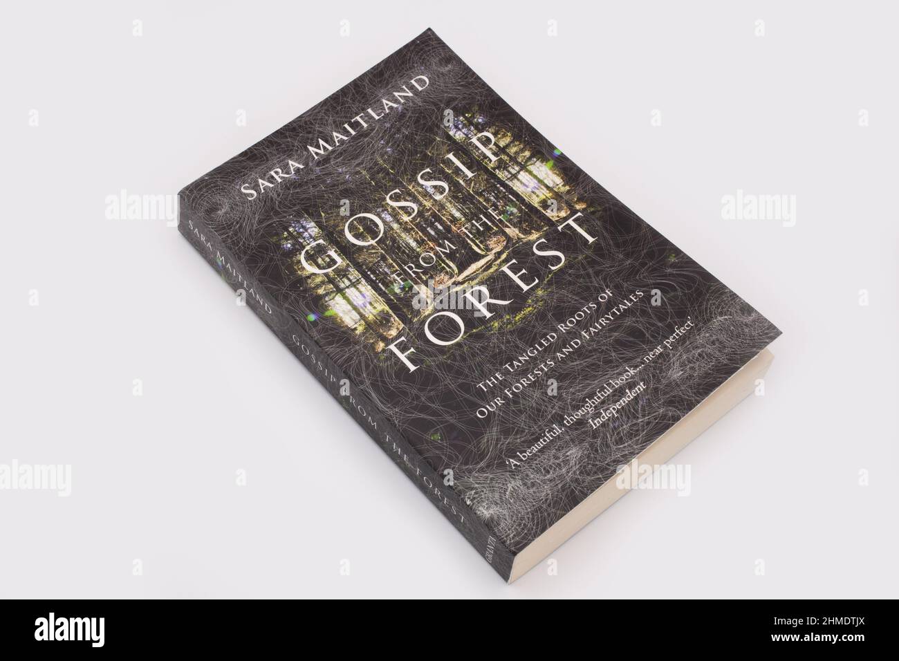 Das Buch Gossip from the Forest von Sara Maitland Stockfoto