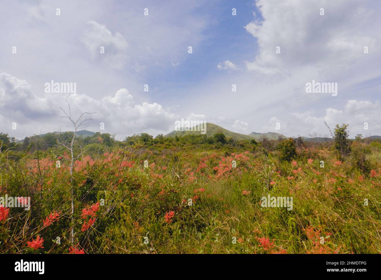 Landschaftlich schöner Blick auf das Feld gegen die Berge im Chyulu Hills National Park, Kenia Stockfoto
