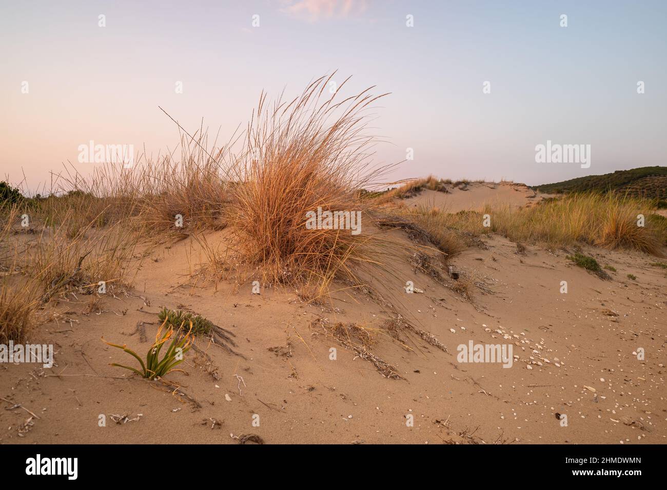 Grasbewachsene Sanddünen Küstenlandschaft. Sommer 2019, Ionisches Meer in Griechenland Stockfoto