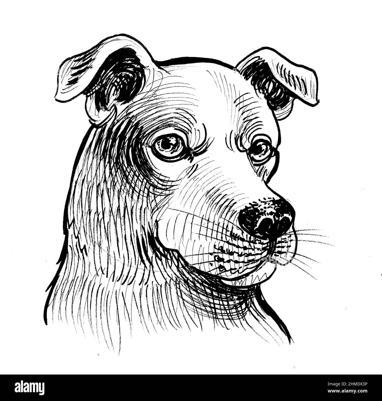 Hund Clipart Schwarzwei Stockfotos Und bilder Seite 2 Alamy hund-clipart-schwarzwei-stockfotos-und-bilder-seite-2-alamy