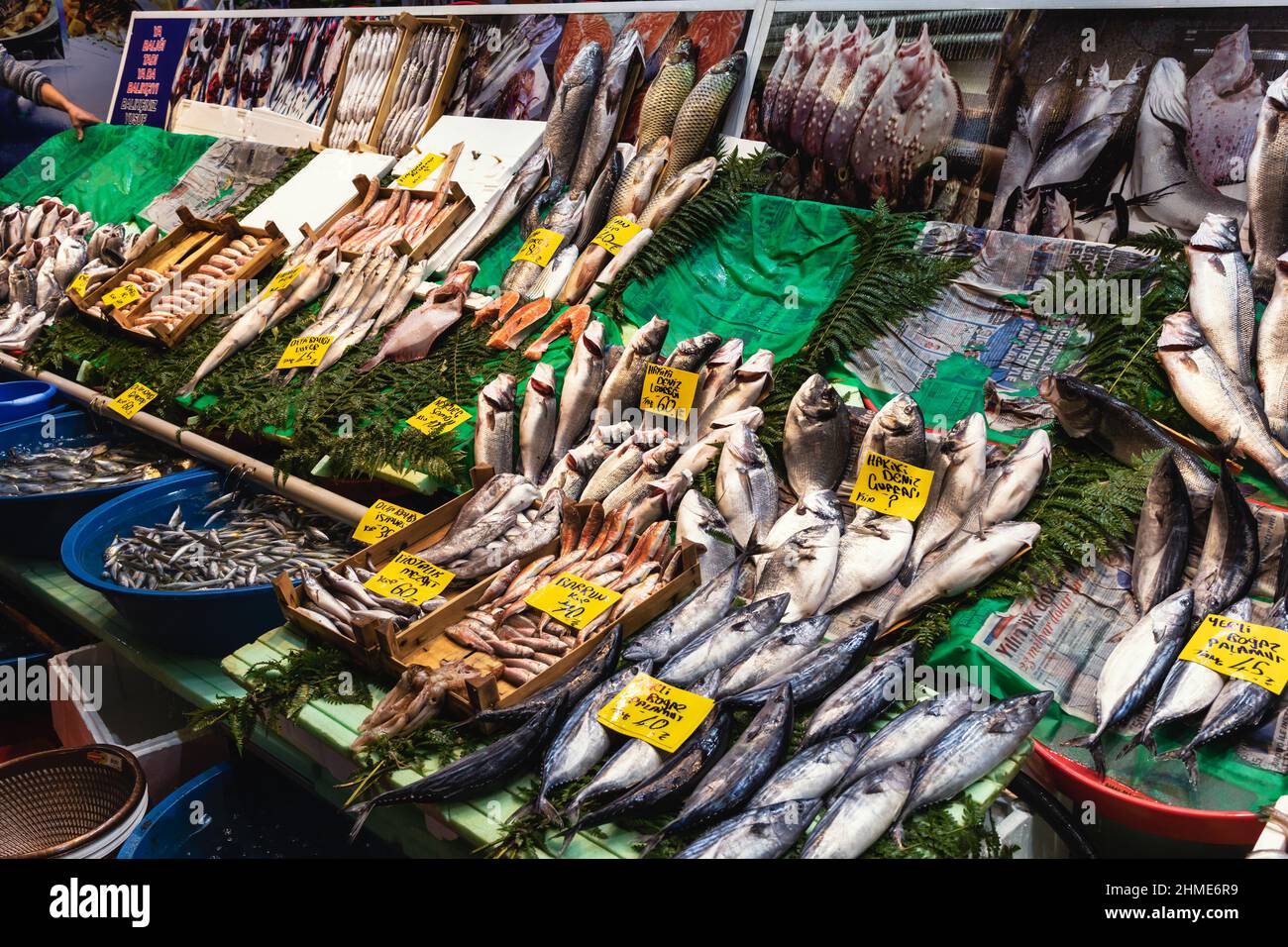 Istanbul, Türkei – 21. Nov 2021: Auf einem Fischmarkt mit Preisschildern und Namen in türkischer Sprache werden verschiedene frische Fische verkauft Stockfoto