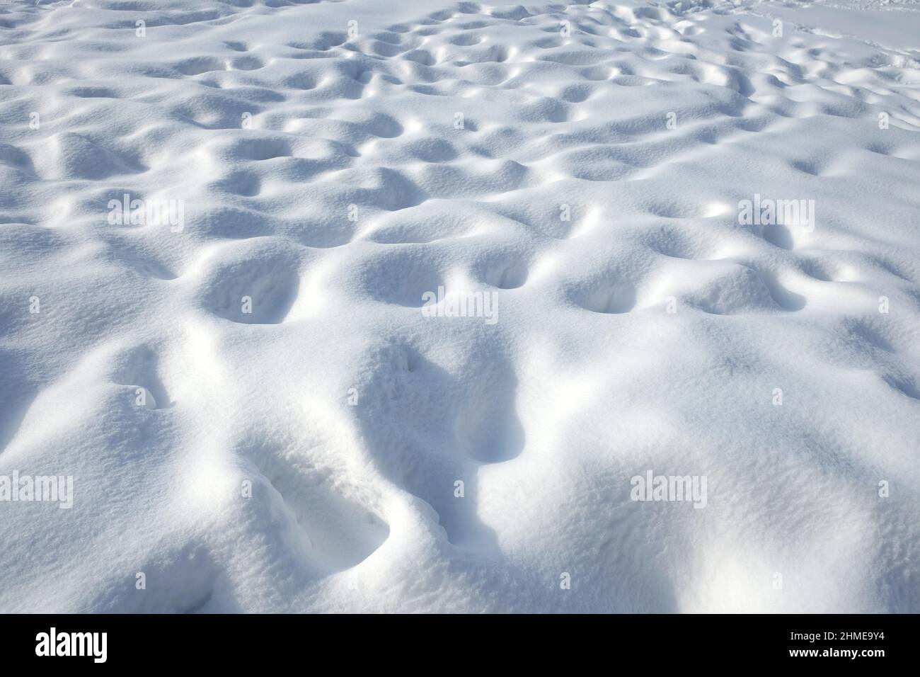 Schneefeld mit vielen menschlichen Fußabdrücken bedeckt mit klarem weißen Schnee an hellen sonnigen Wintertagen Stockfoto