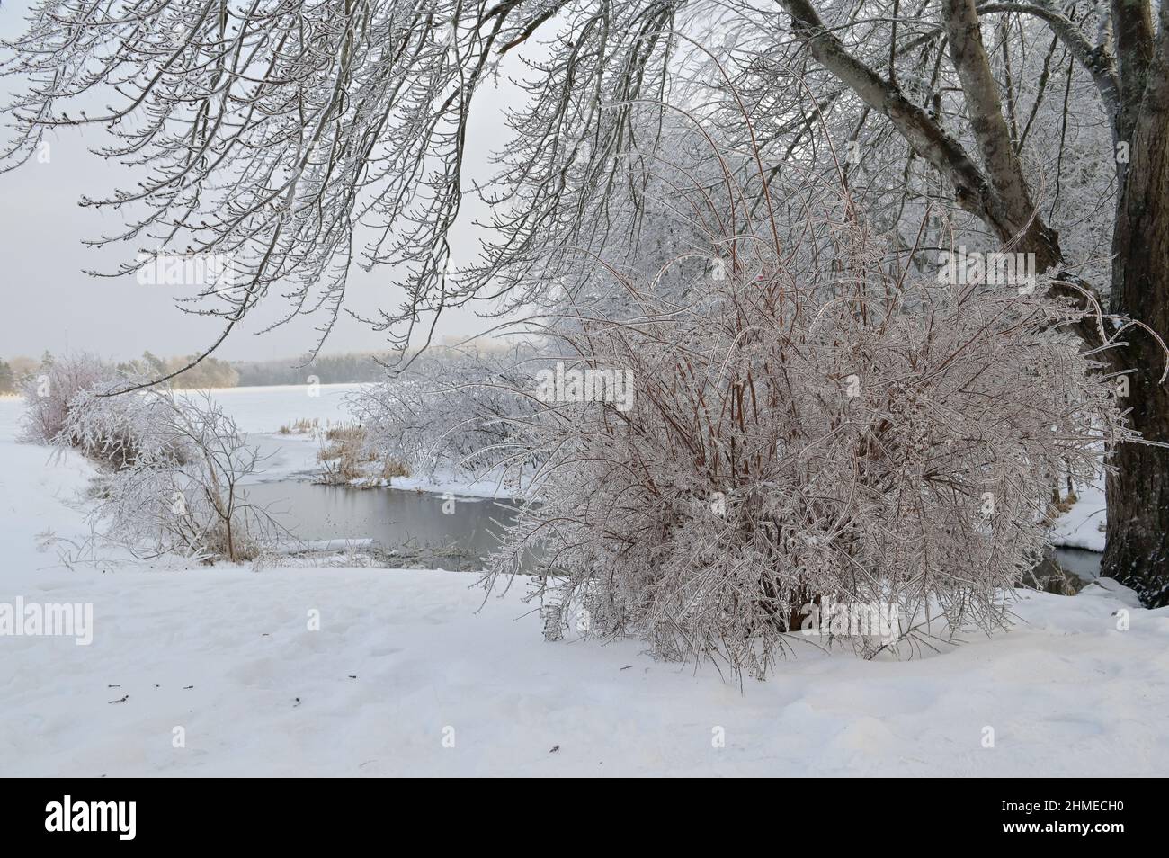 Frostige Bäume an den Ufern eines ungefrorenen Flusses. Stockfoto