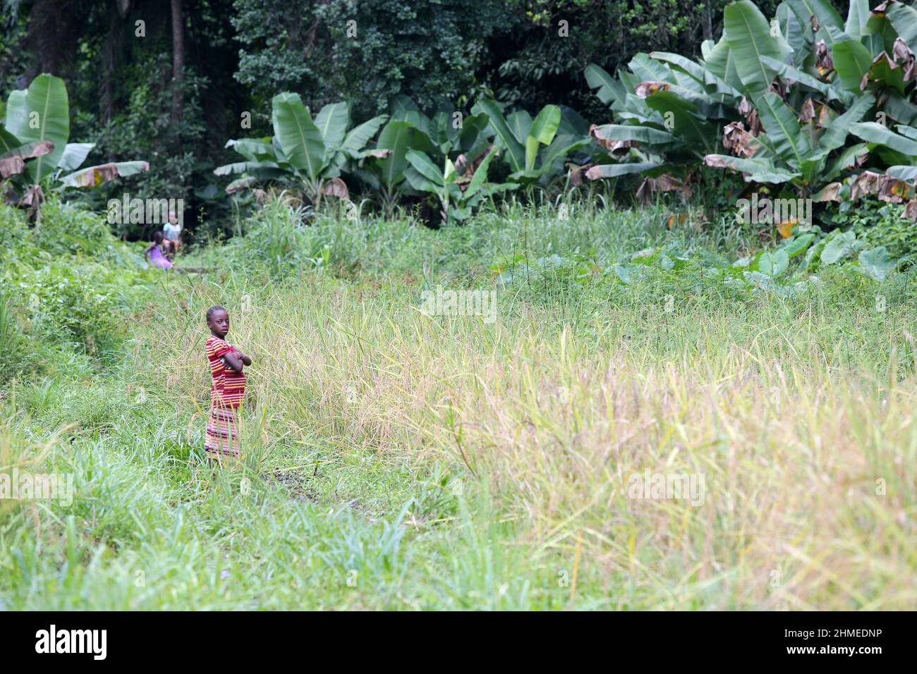 Kinder im ländlichen Sierra leone, Westafrika. Stockfoto