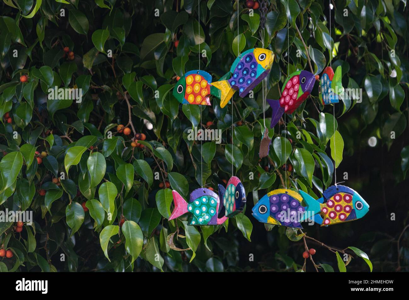 Bunte fröhlich bemalte Fisch mobil hängen in einem Baum mit roten Beeren, Frühling und Sommer Spaß Stockfoto
