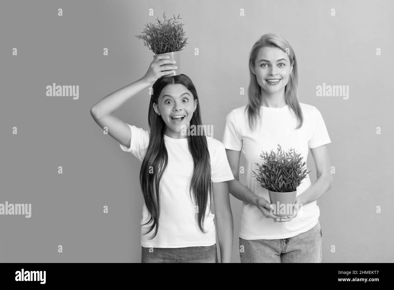 Familie der Mutter und überrascht Mädchen Kind hält Topfpflanze auf dem Kopf, um größer zu werden, wächst Stockfoto