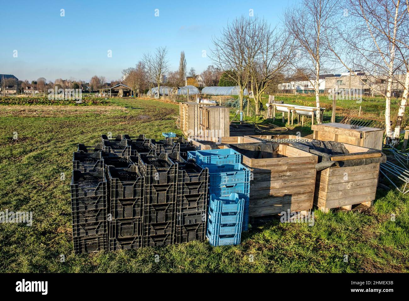 Maraichage en Region flamande autour de Bruxelles | Gartenmarkt rund um Brüssel Stockfoto