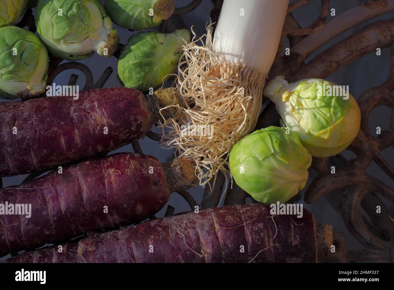 Rosenkohl, Lauch und alte Karotten mit weinroter Färbung, Gemüse von oben, Draufsicht Stockfoto