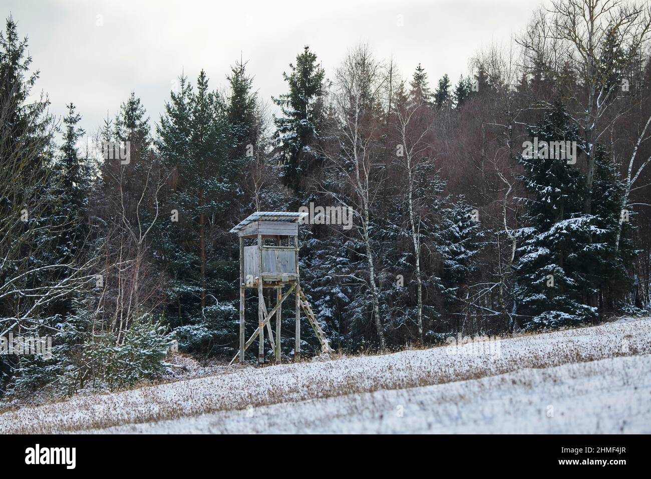 Jäger blind in einer verschneiten Landschaft neben dem Wald, kleine Fatra, Karpaten, Horna Suca, Slowakei Stockfoto