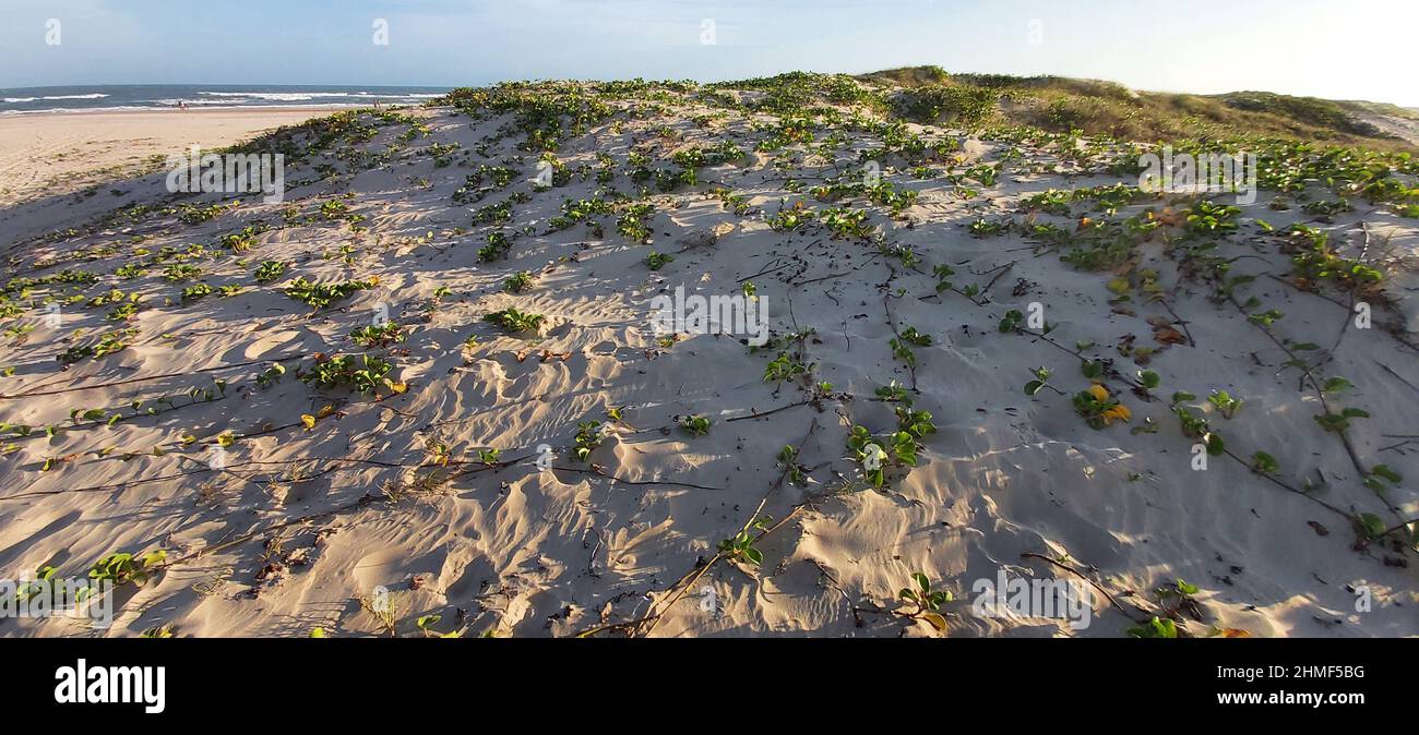 Orla do Atalaia, Aracaju, Sergipe, Brasilien Stockfoto