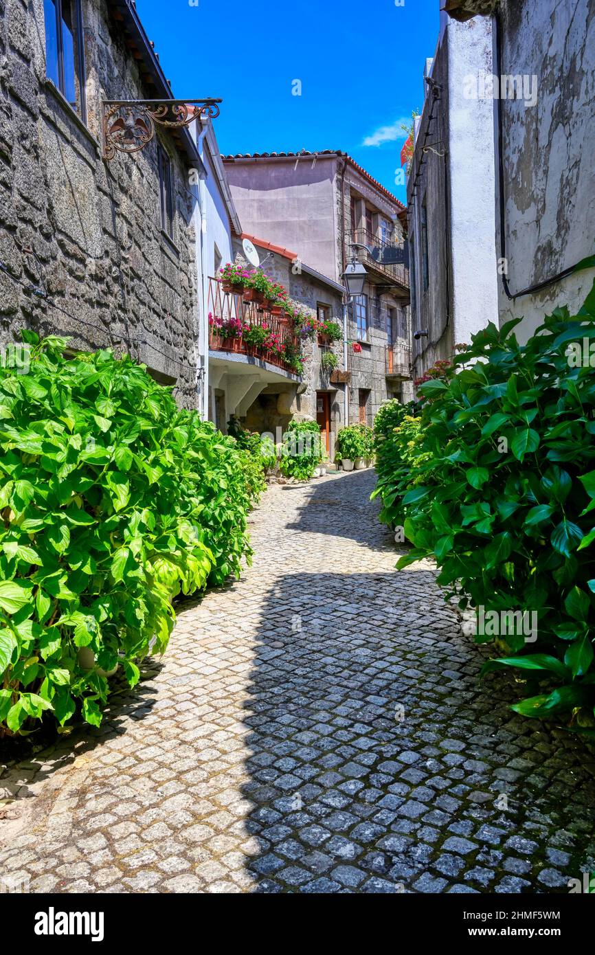 Enge Kopfsteinpflasterstraße mit Blumen und alten Steinhäusern, Trancoso, Serra da Estrela, Portugal Stockfoto