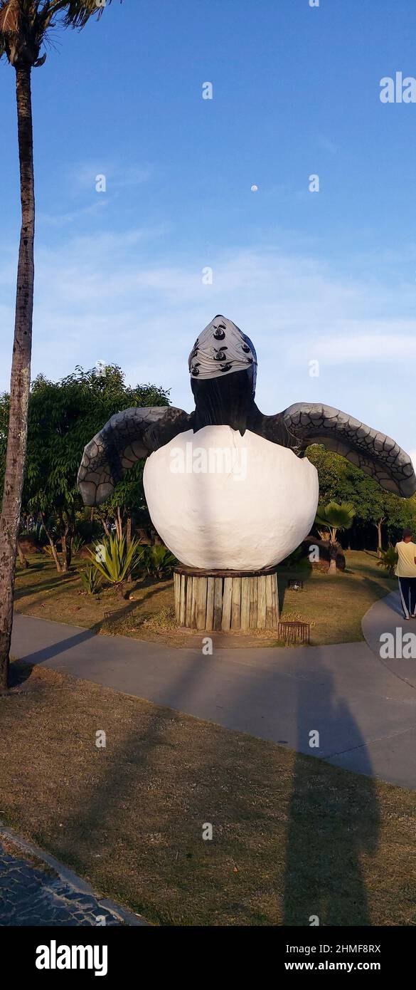 Projeto Tamar, Orla do Atalaia, Aracaju, Sergipe, Brasilien Stockfoto