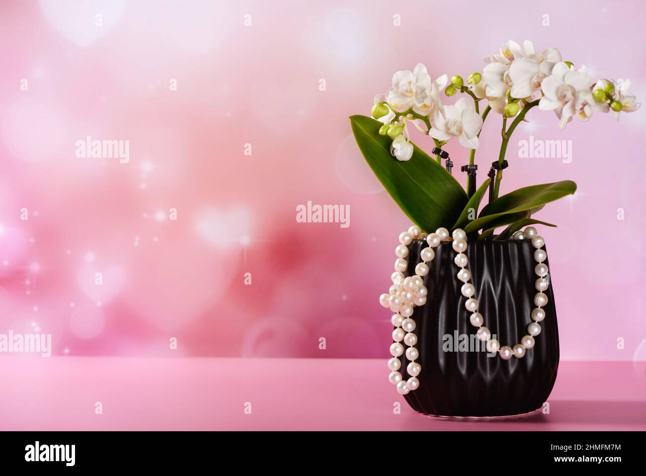 Kleine weiße Orchidee in einem schwarzen Topf mit Perlenkette, auf einem rosa Hintergrund mit Herzen und Glitzern Stockfoto