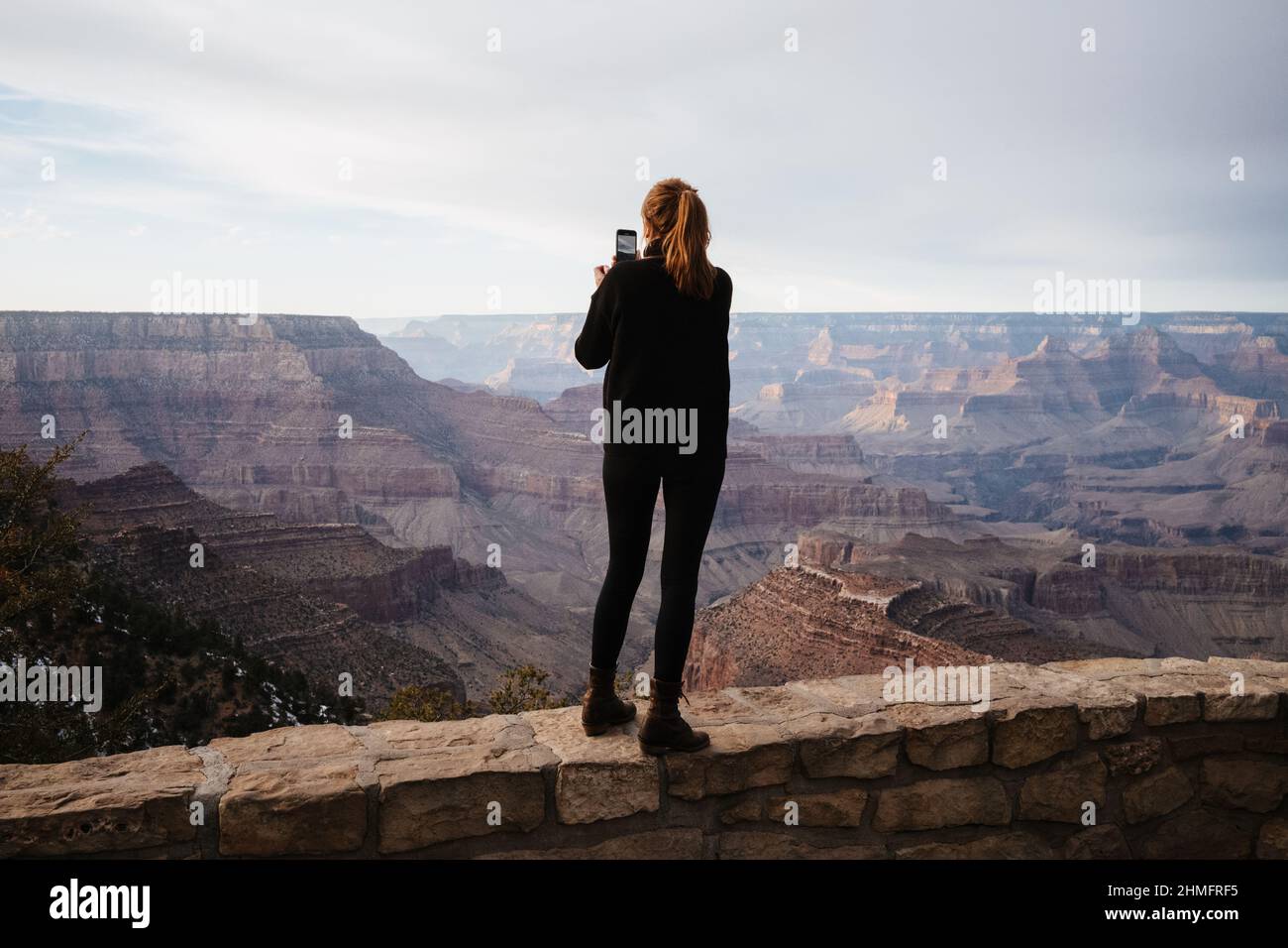 Tourist fotografiert am Grand Canyon mit dem Handy Stockfoto