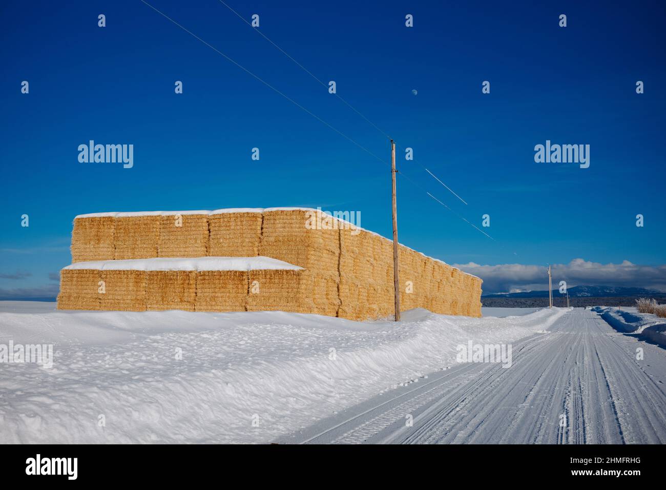 Strohballen auf Ackerland mit blauem Himmel Winterschnee und Mondaufgang. Stockfoto