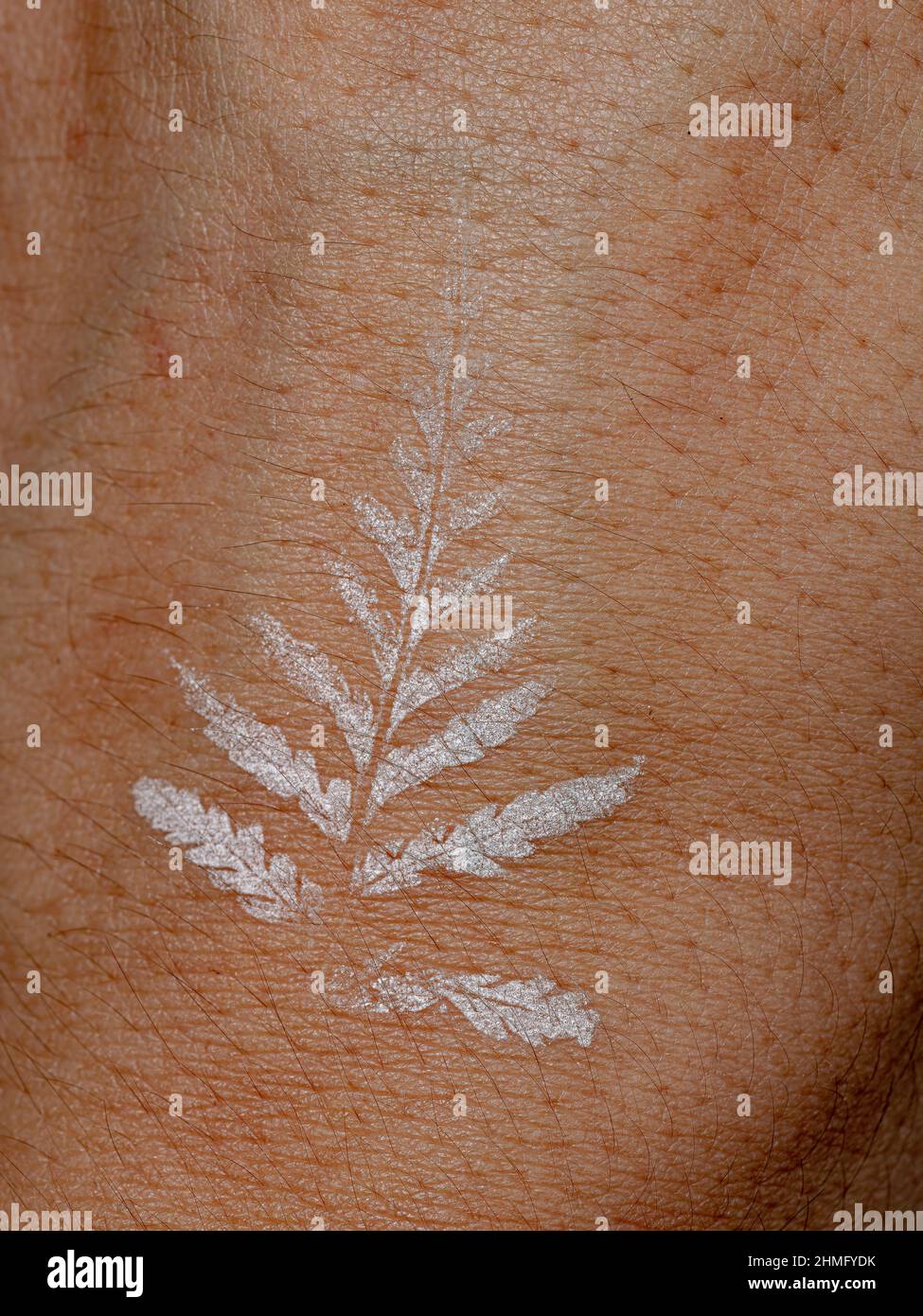 Temporäres natürliches weißes Tattoo mit Pteridophytpflanzenblatt auf kaukasischer Haut in Makroansicht Stockfoto