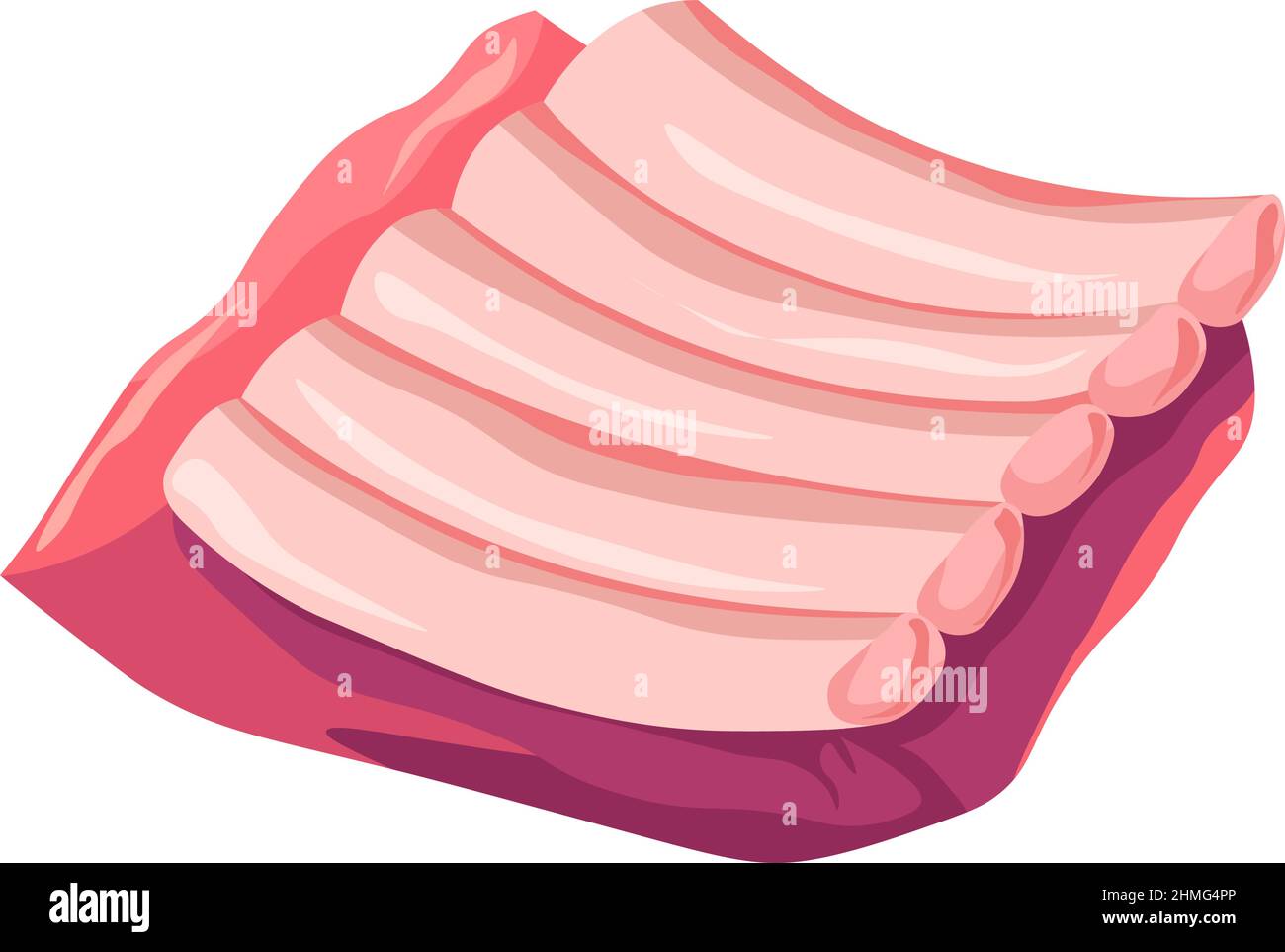 Schweinefleisch Rücken Rippen, Fleisch geschnitten, Metzgerei speichern Vektor Stock Vektor