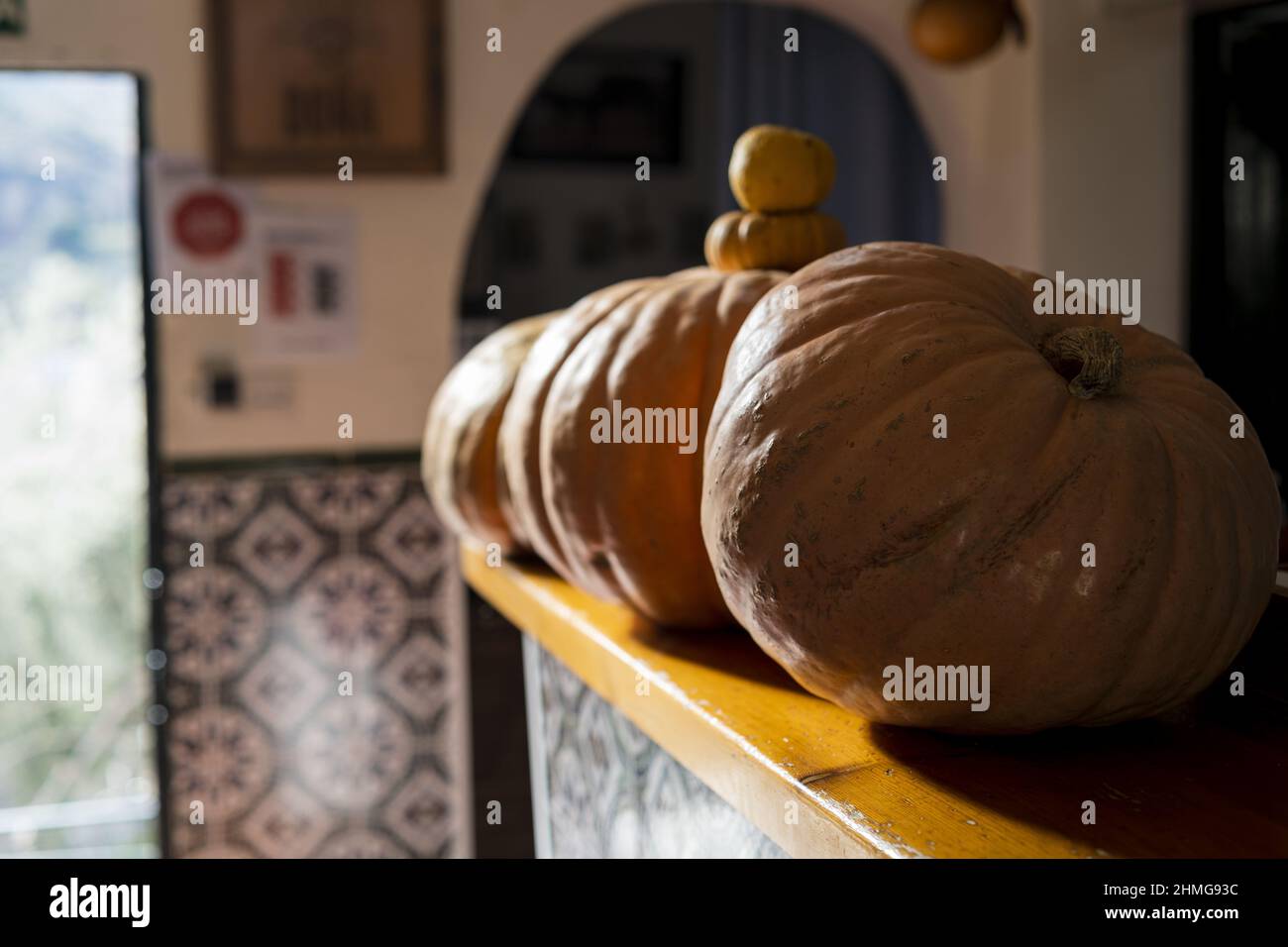 Selektiver Fokus von übergroßen Kürbissen auf der Theke einer Bar am Straßenrand Stockfoto