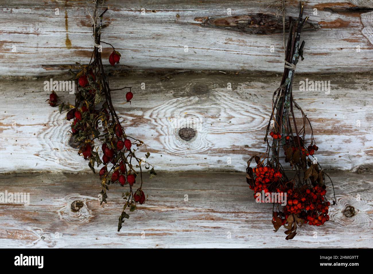 Eine alte Holzhütte und eine Scheune aus Rundholz. Zubereitung von Kräutern für Tee. Getrockneter Haufen Bergasche, wilde Rose. Stockfoto