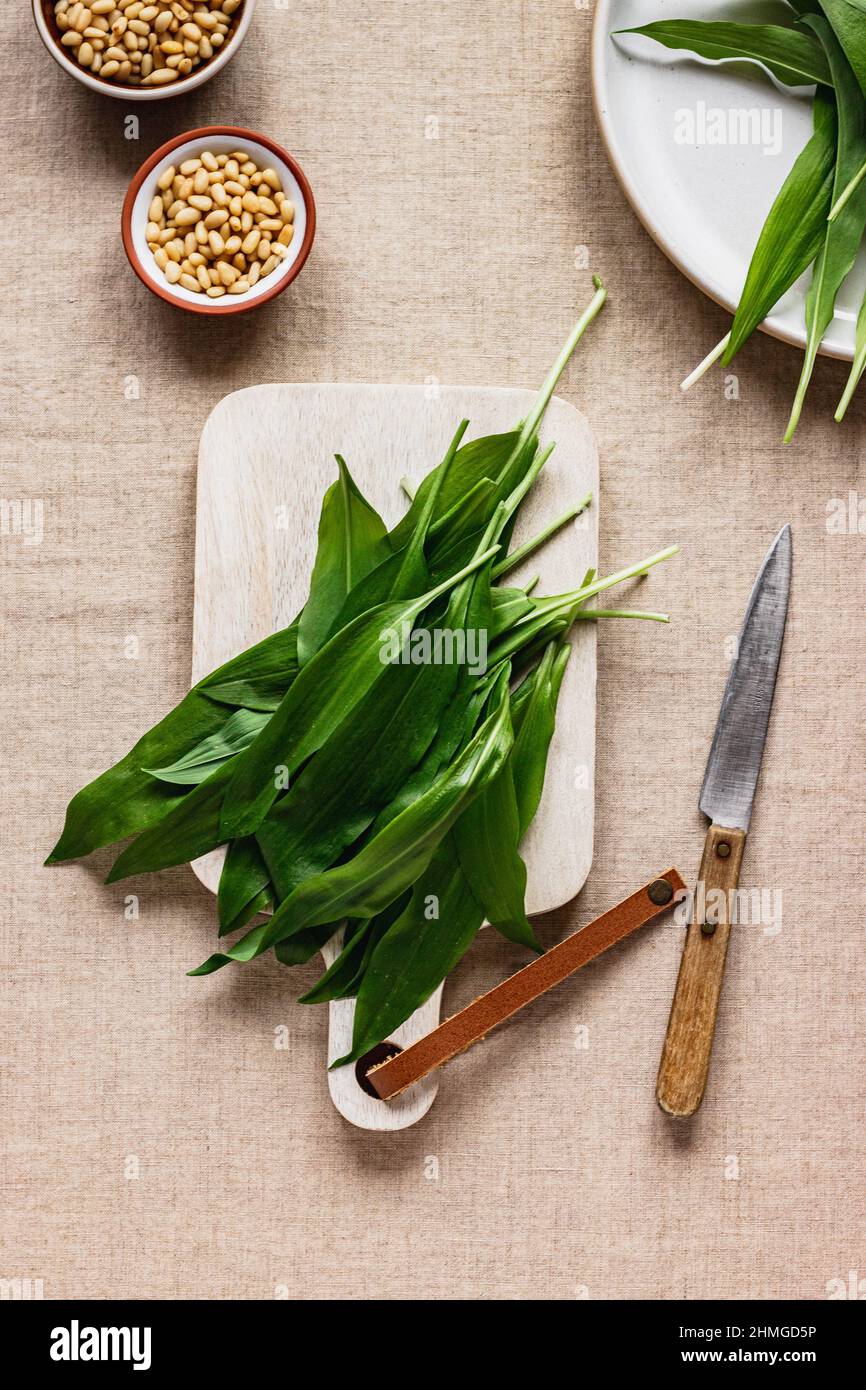 Frisch gepflückter Bärlauch, Ramson in einem weißen Metallkorb auf dem Tisch mit Leinentischtuch. Frühlingskräuter. Vegane Küche. Sauberes Essen. Saisonal Stockfoto