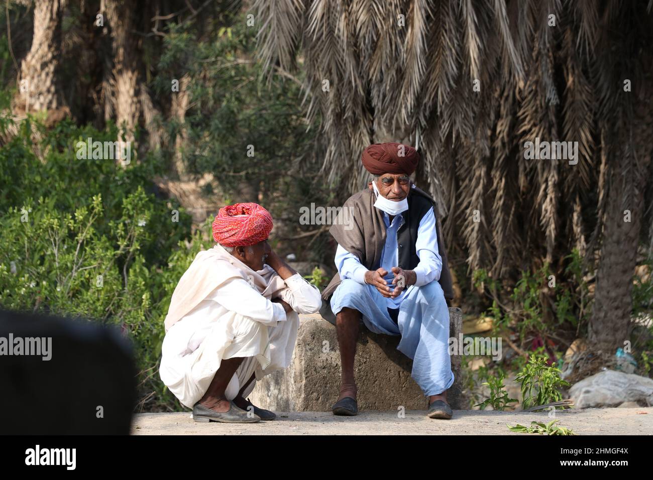 alte indische Menschen sitzen im Wald. Stockfoto