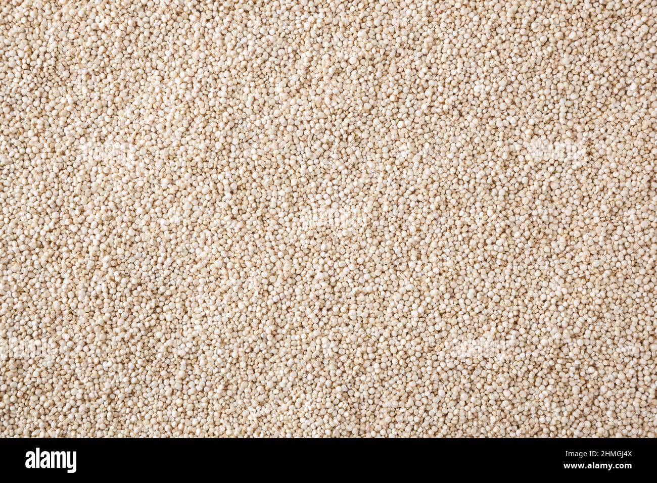 Getrocknete weiße Quinoa Samen Hintergrund Stockfoto