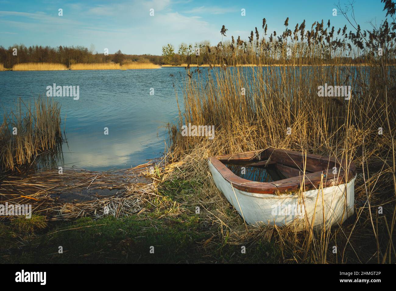 Boot im Gras am Ufer des Sees, sonniger Tag Stockfoto