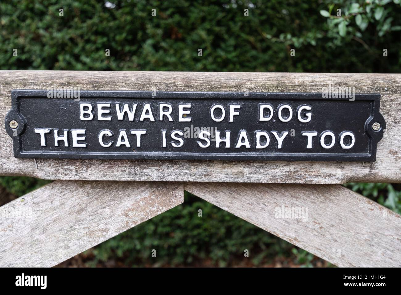 Hüten Sie sich vor dem Hundeschild, die Katze ist auch schattig. Skurriles, amüsantes Schild an einem Tor. Stockfoto