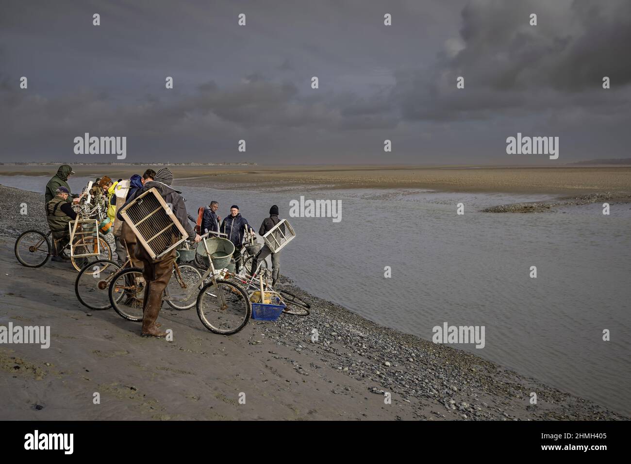 pêche à pied, coques, hénons, baie de Somme, vélo, Tracteur, Stockfoto