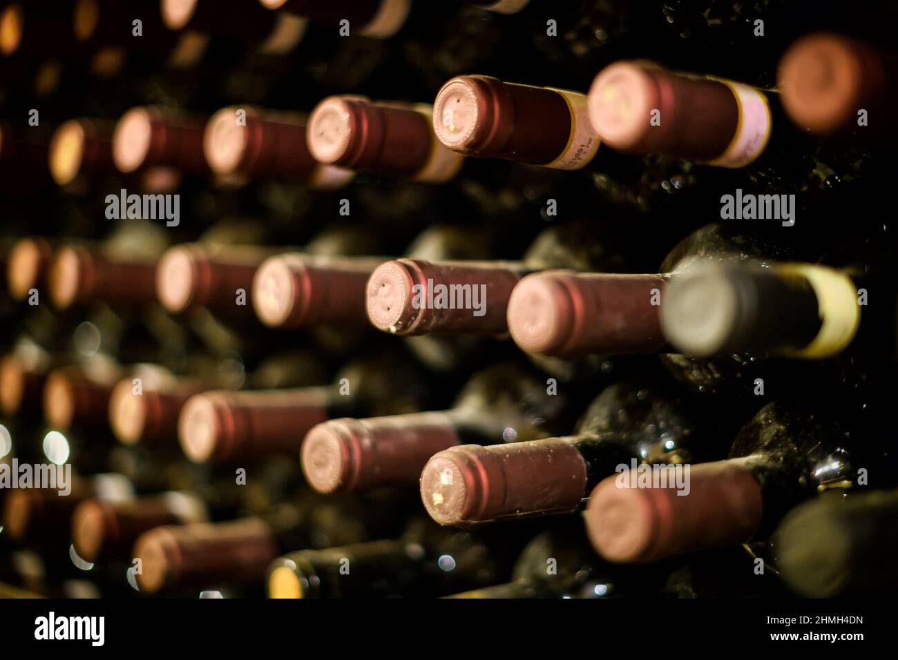 Reihen von folienversiegelten Rotweinflaschen, die in einem Keller auf Regalen in einem schrägen Winkel reifen Ansicht in einer Önologie, Weinbau und Weinproduktion c Stockfoto