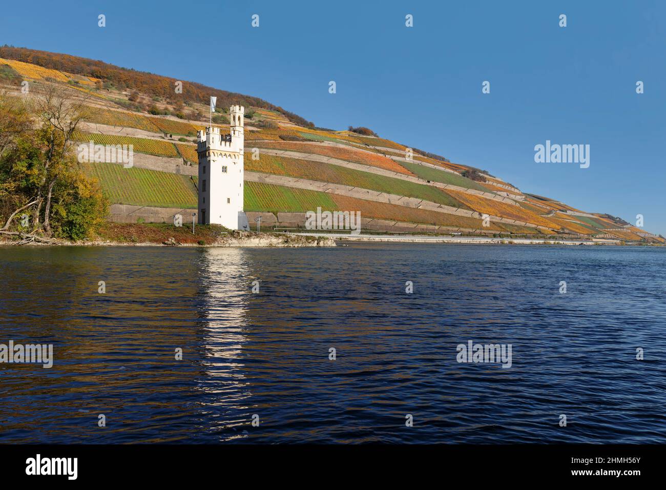 Turm Der Maus, Bingen, Oberes Mittelrheintal, Rheinland-Pfalz, Deutschland Stockfoto