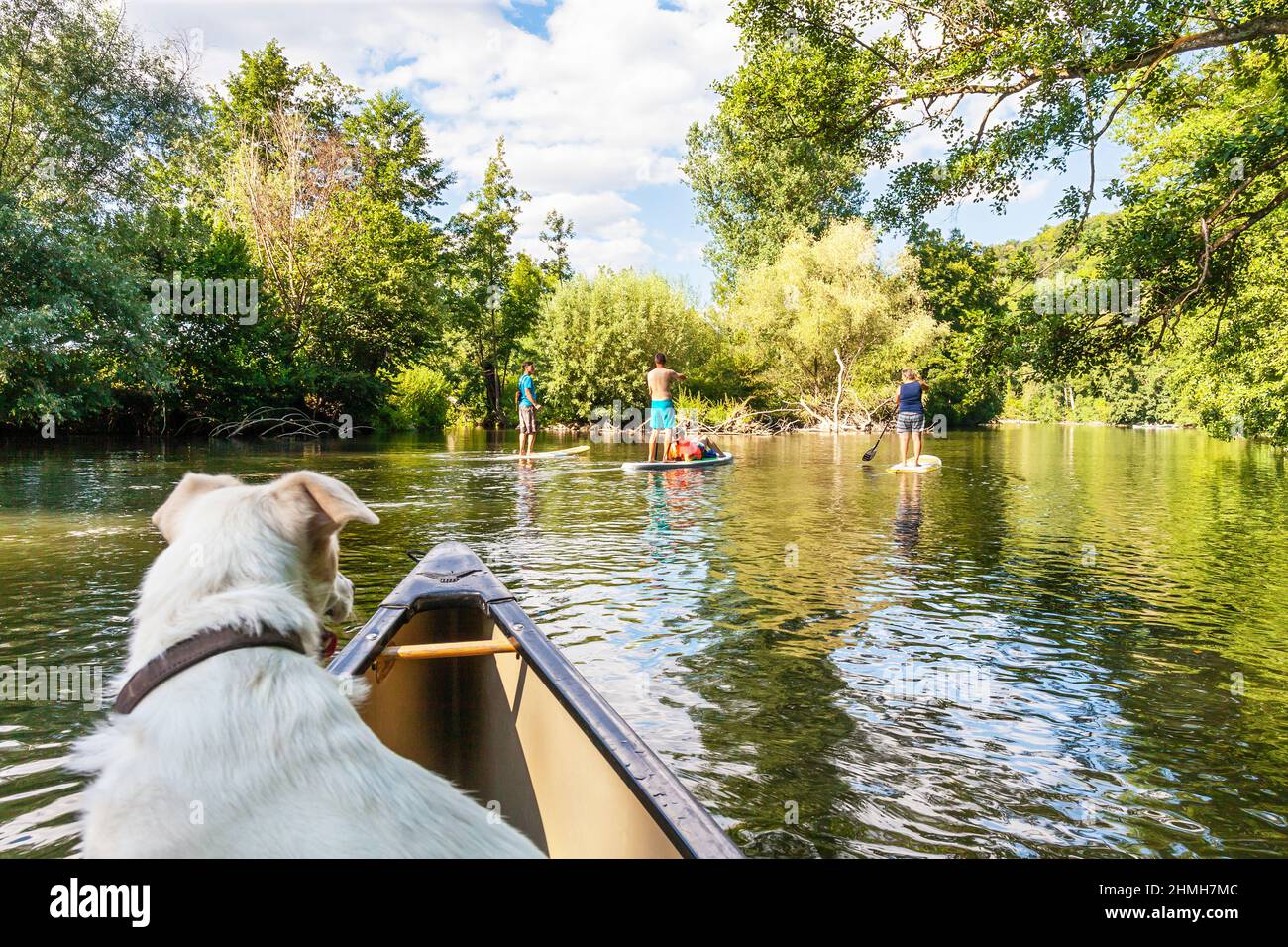 Kanufahren mit Hund und Stand Up Paddling auf der Enz bei Bietigheim-Bissingen, Deutschland Stockfoto