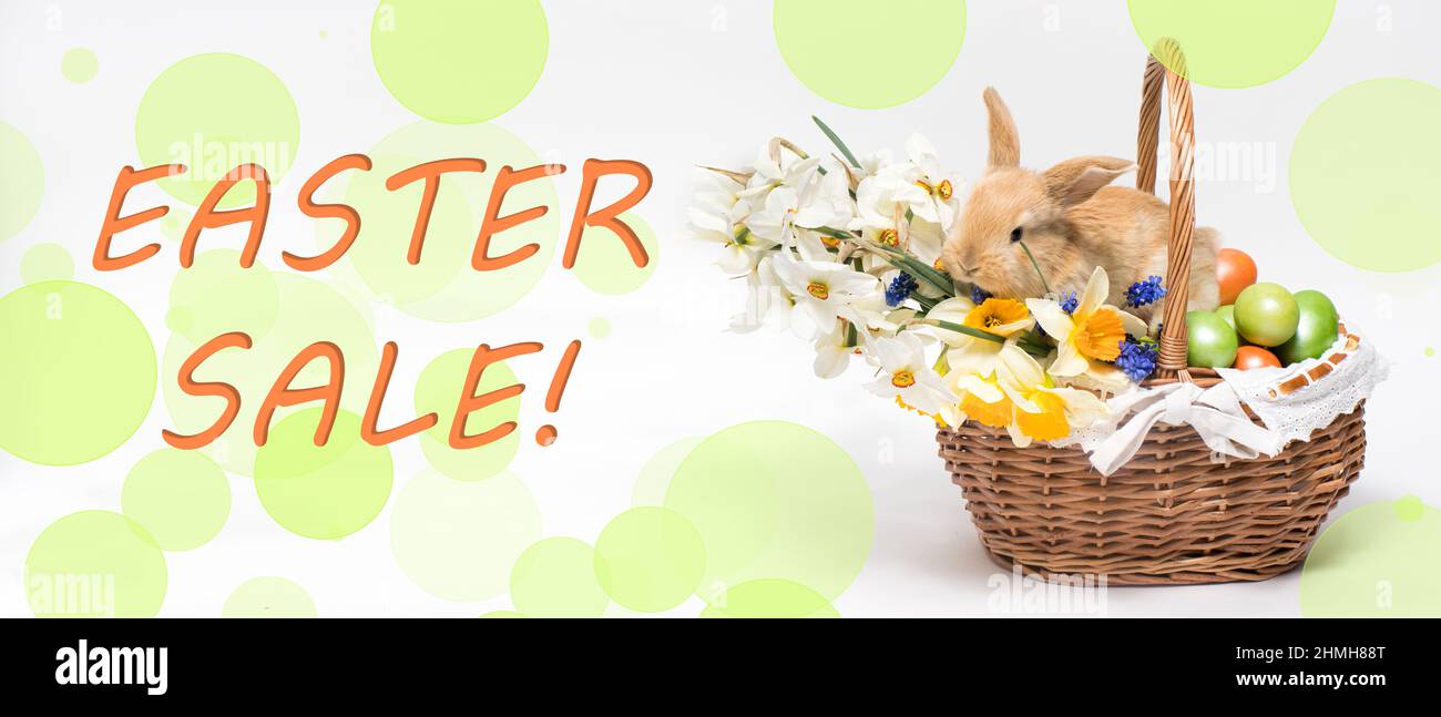 Ein langes Banner mit dem Text Osterverkauf mit einem schönen kleinen Kaninchen in einem Korb und bemalten Eiern. Stockfoto