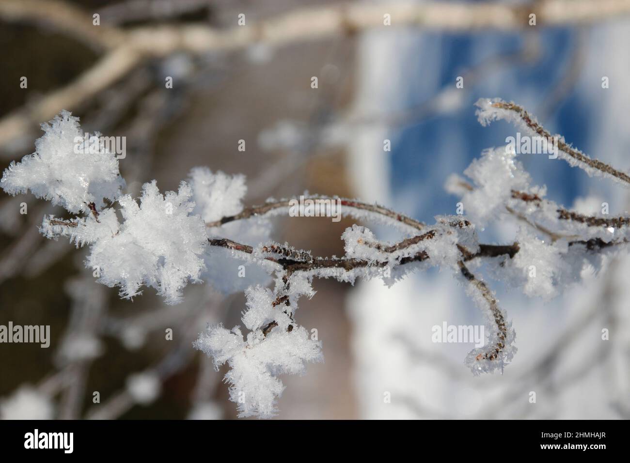 Winterwanderung zwischen Krün und Wallgau, Schneekristalle verzaubern die verträumte Winterlandschaft, Süddeutschland, Oberbayern, Schnee, Winter, Verschneit, Bäume, Deutschland, Bayern, Werdenfels, Krün Stockfoto