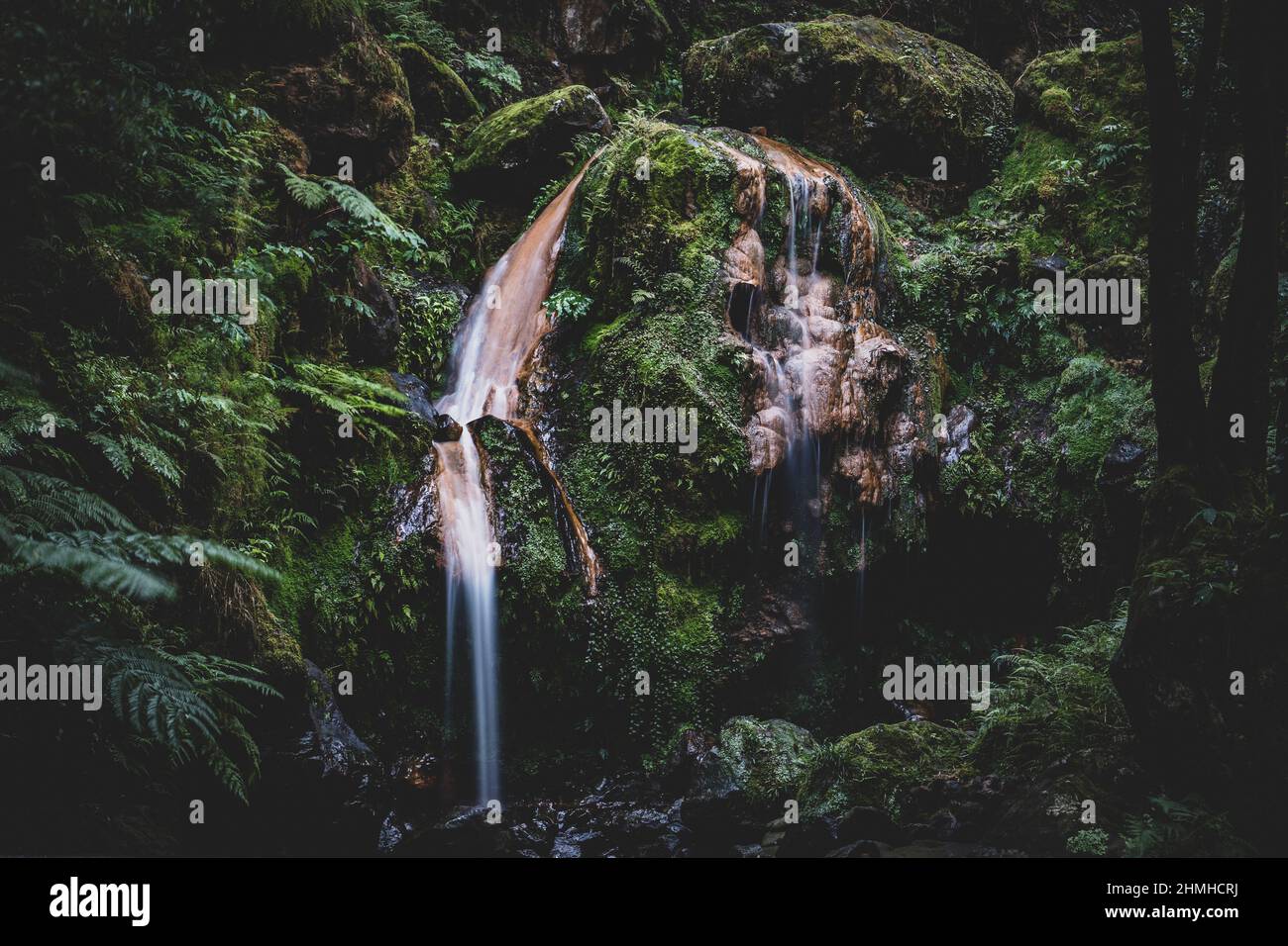 Wasserfall, Dschungel, Ilha de Sao Miguel, Azoren, Portugal Stockfoto