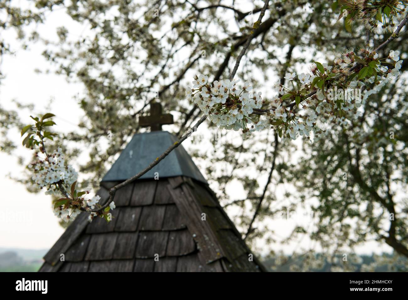 Frühling, Blüte, Marienheiligtum Stockfoto