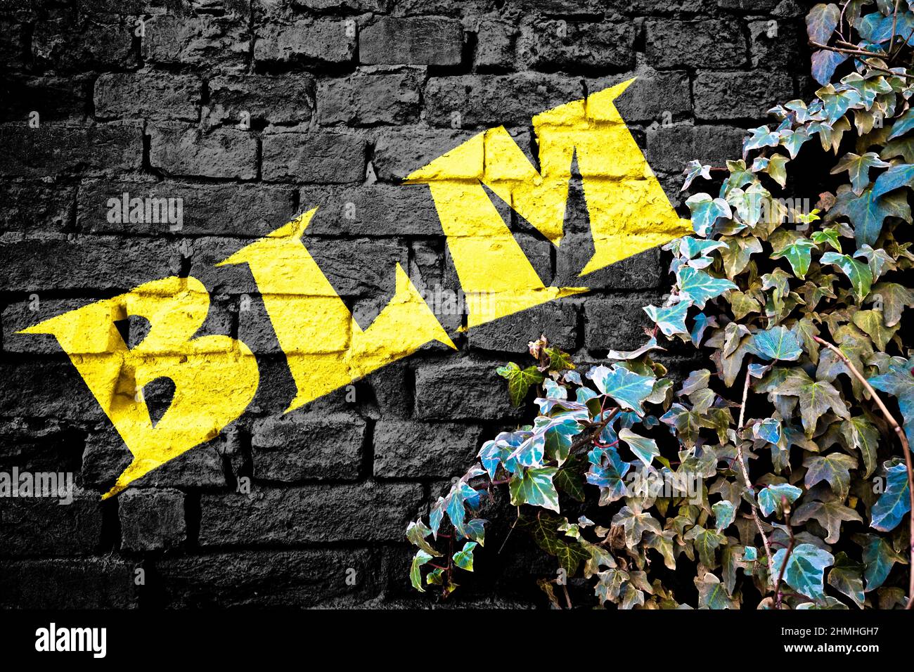 BLM gelbe Graffiti auf schwarzer Ziegelwand mit Efeu-Pflanze, Symbol der sozialen Bewegung Black Lives Matter Stockfoto