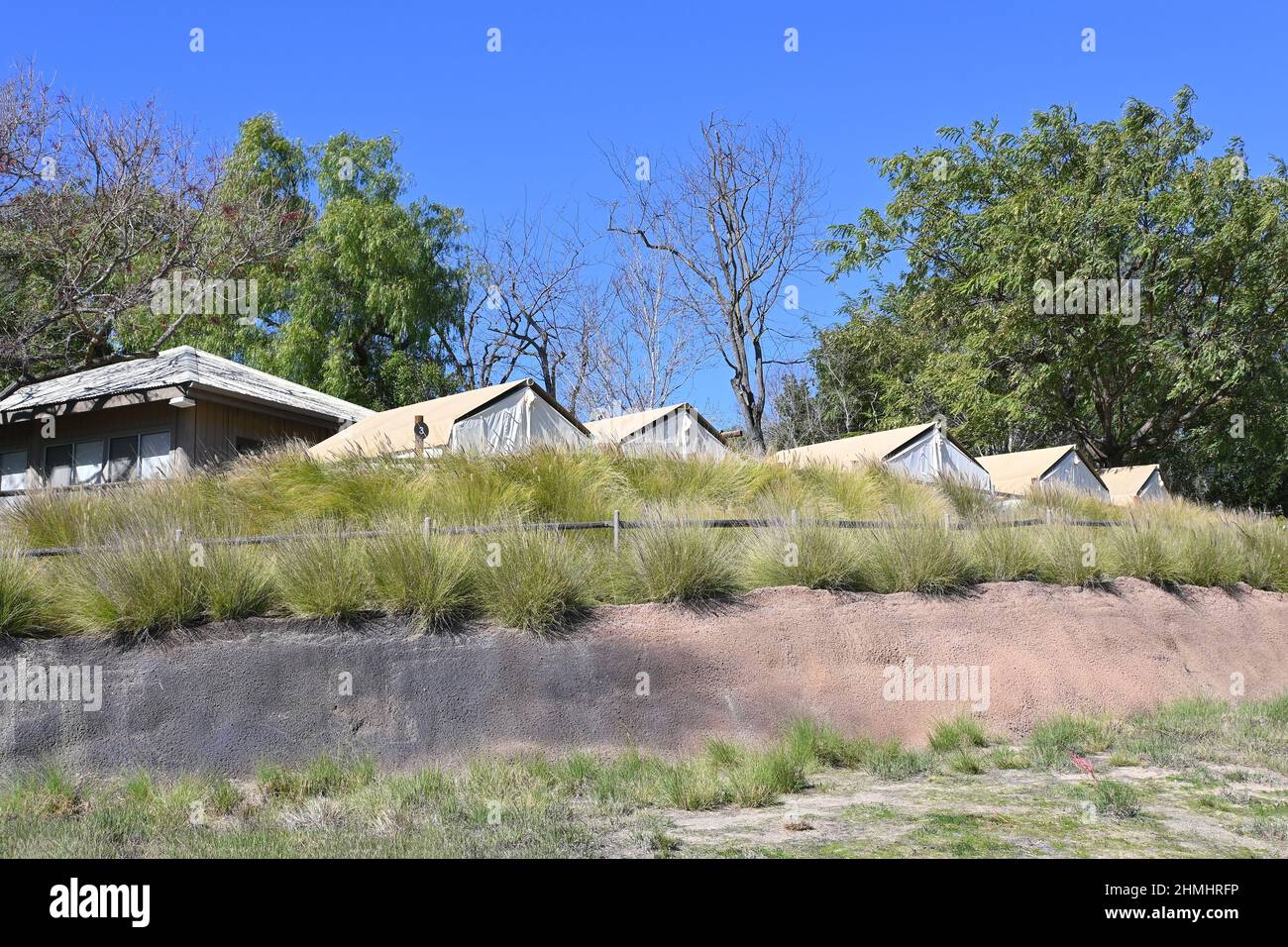 ESCONDIDO, KALIFORNIEN - 9. FEB 2022: Zelte im Roar and Snore Camp Ground im San Diego Zoo Safari Park, wo Gäste im Park übernachten können. Stockfoto