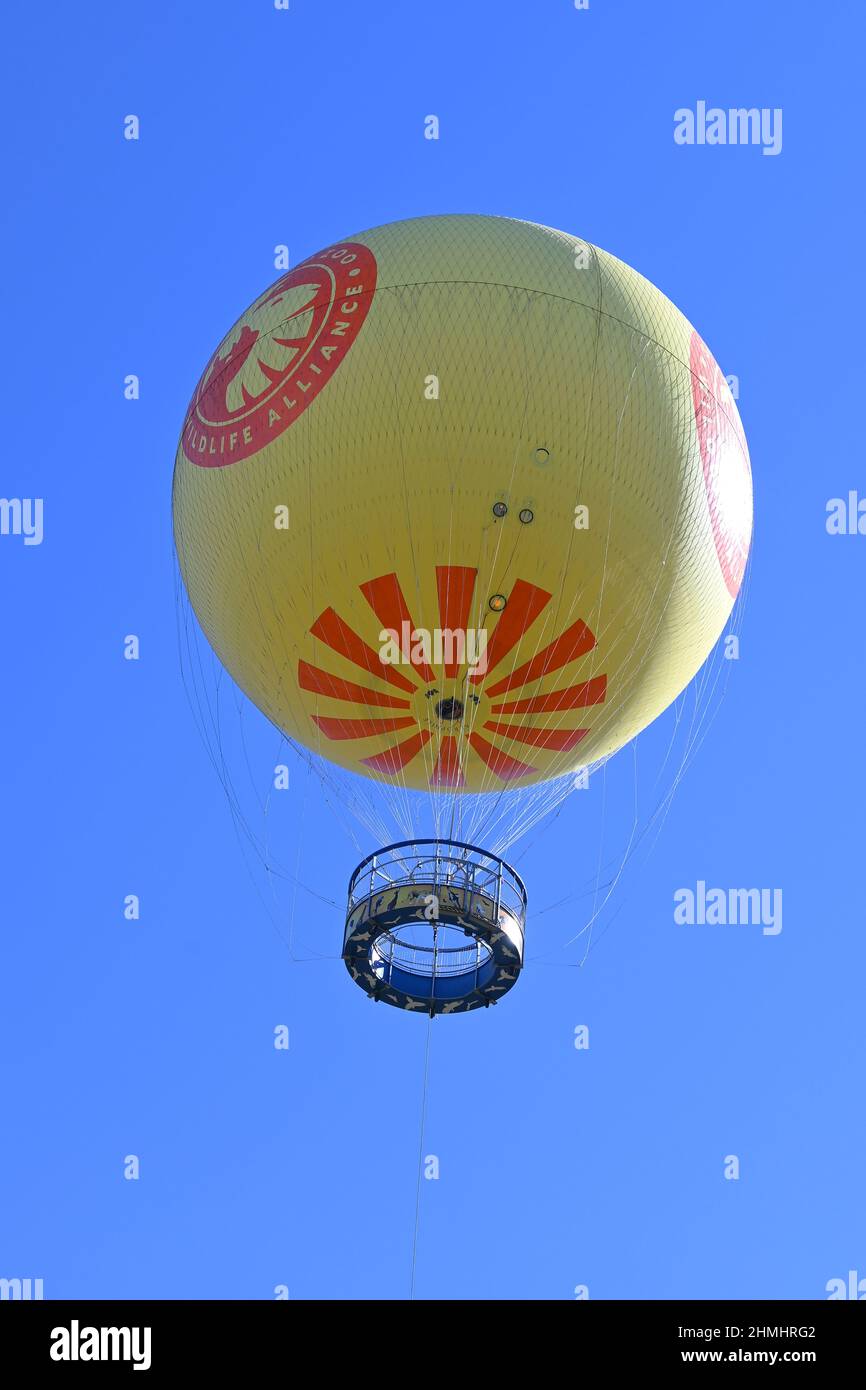 ESCONDIDO, KALIFORNIEN - 9. FEB 2022: Balloon Safari eine Tethered-Fahrt im San Diego Zoo Safari Park mit Panoramablick. Stockfoto