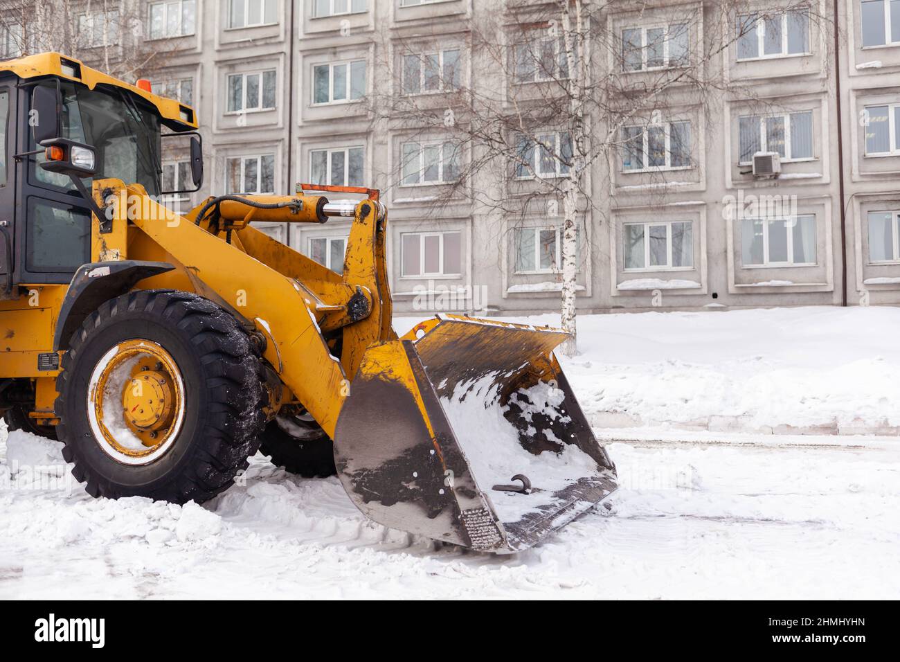 Großer orangefarbener Traktor reinigt Schnee von der Straße und lädt ihn in den LKW. Reinigung und Reinigung der Straßen in der Stadt vom Schnee im Winter. Schnee remo Stockfoto