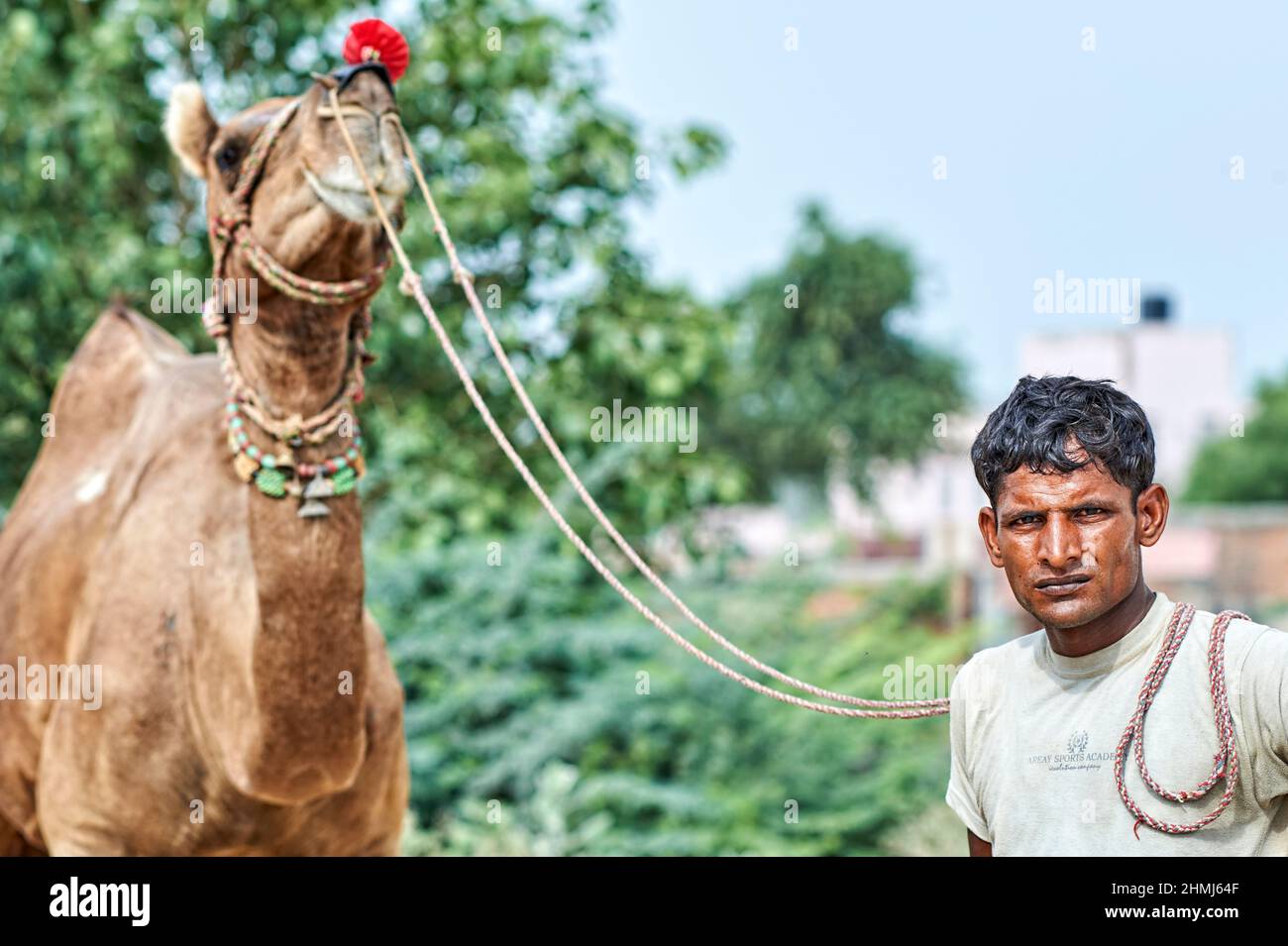 Indien, Rajasthan. Porträt eines Mannes Stockfoto