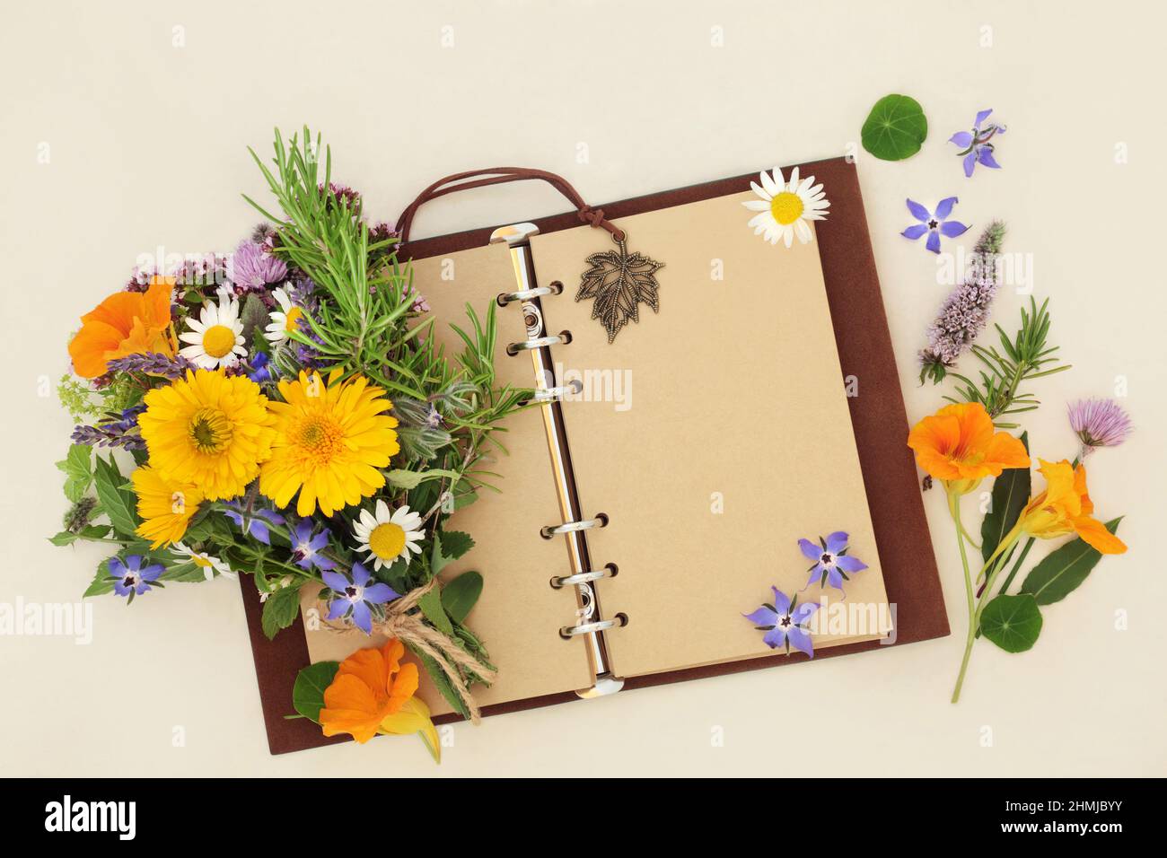 Altes Leder-Notizbuch mit offenen leeren Seiten für Gartenplaner oder botanische Naturstudien mit Kräutern und Blumen, die in natürlichen Pflanzenheilmitteln verwendet werden. Stockfoto