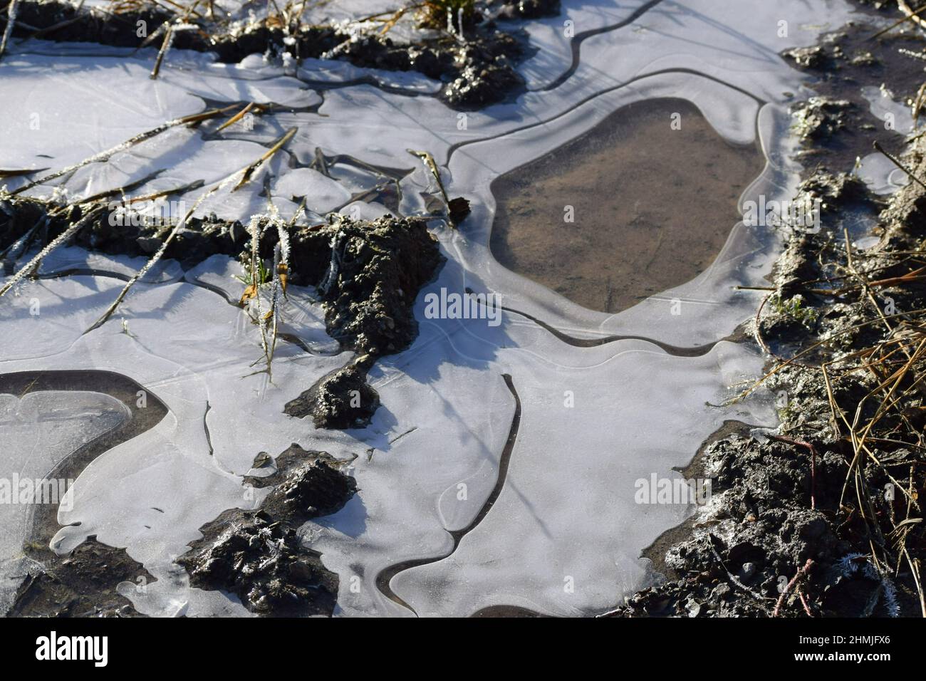 Ein gefrorener Puddle glitzert in der Mittagssonne Stockfoto