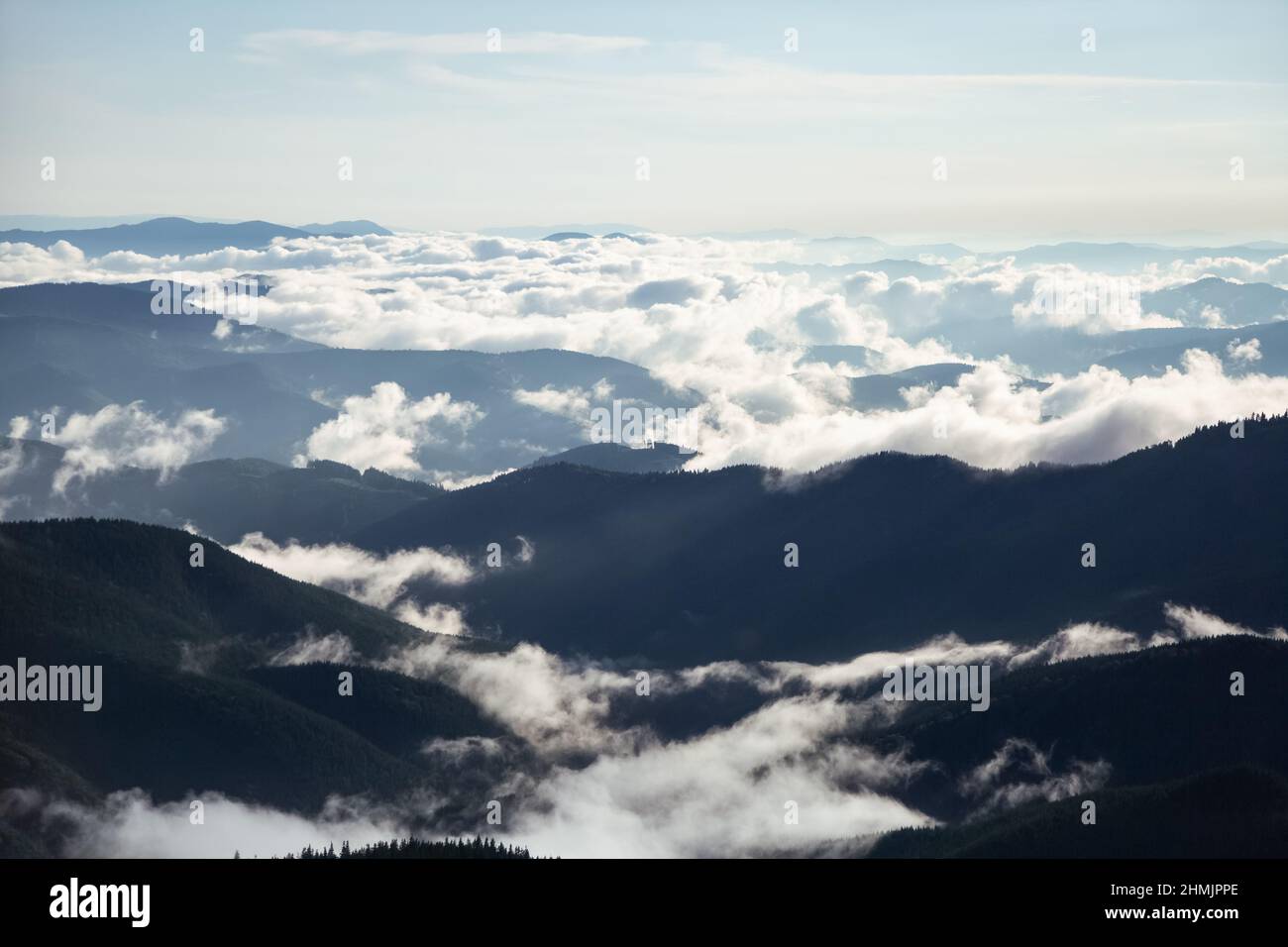 Landschaft mit schönen Bergen. Felder und Wiesen sind mit Morgennebel und Tau bedeckt. Touristischer Kurort Karpaten Nationalpark, Ukraine Europa. Stockfoto